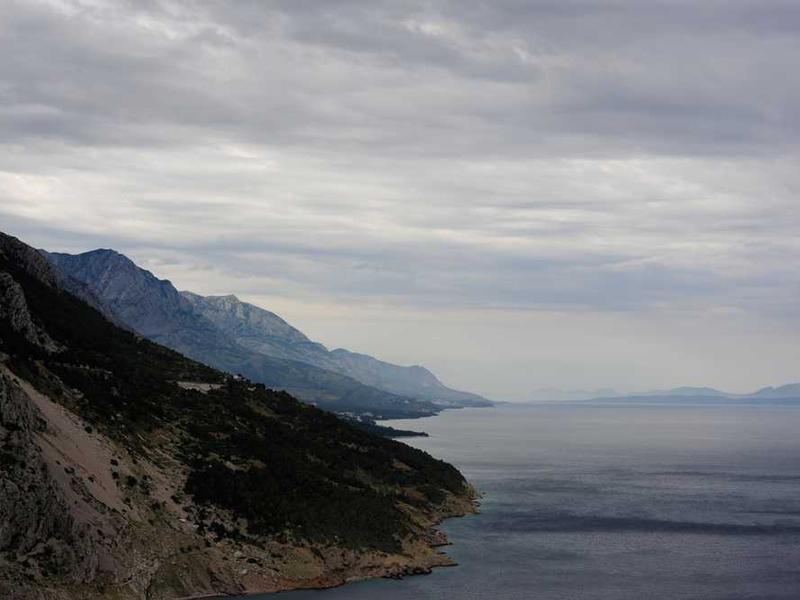 صورة بارزة للمقال